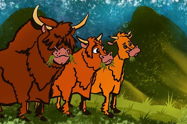 An illustration of Highland cows from The Three Canny Heilan Coos story